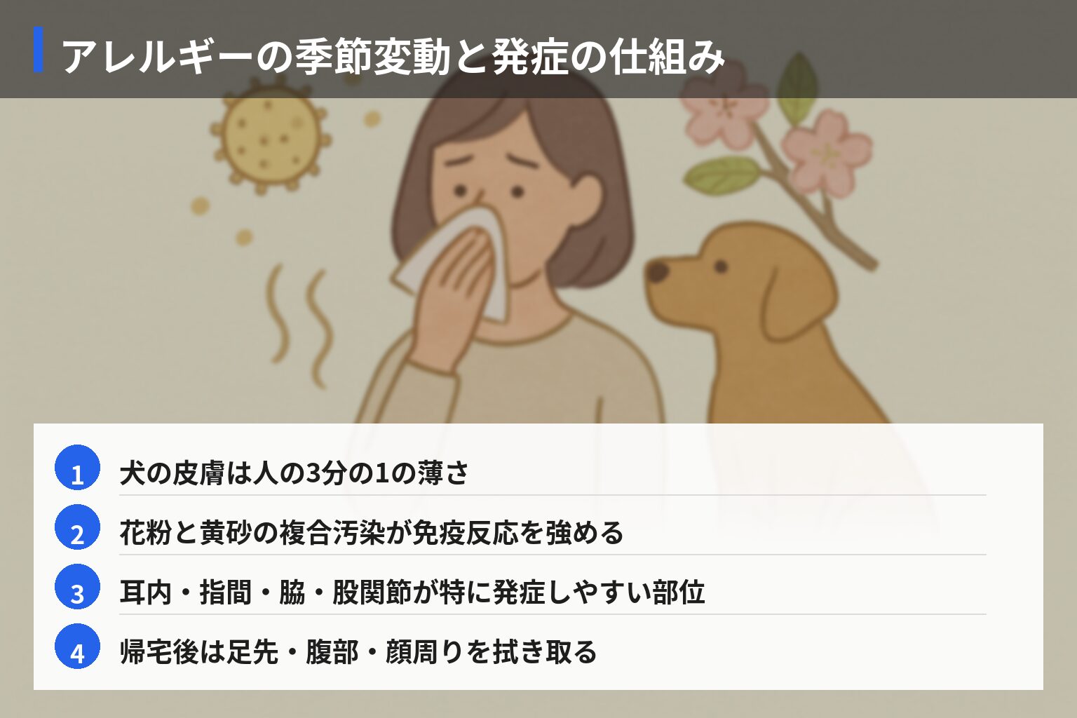 アレルギー発症のメカニズムと季節差の図解・説明イラスト