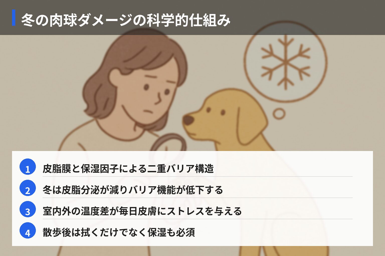 原因・メカニズム分析:肉球乾燥・割れが起きる科学的理由と冬ならではの要因の図解・説明イラスト