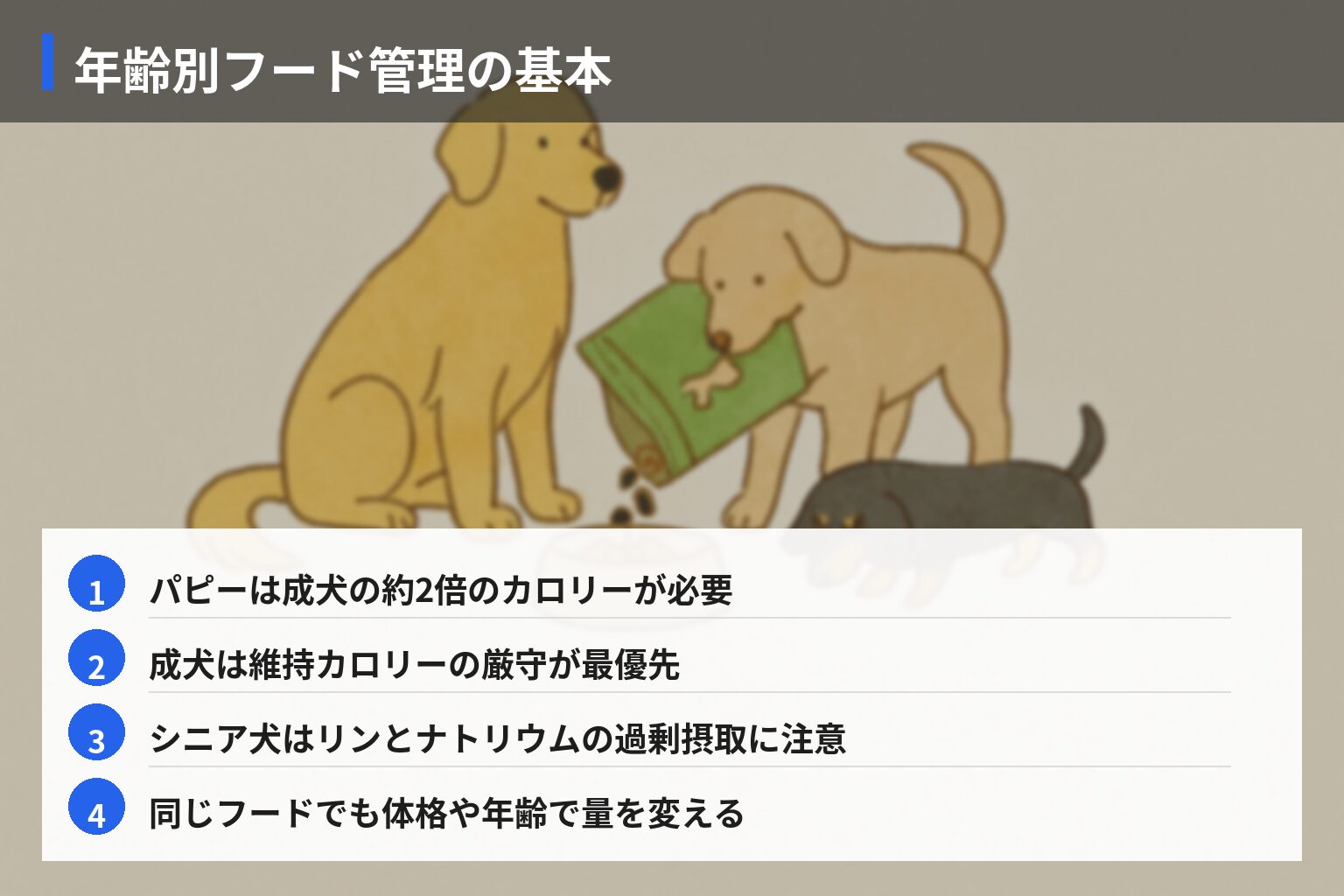 多頭飼いフード管理の基本と選び方のポイントの図解・説明イラスト