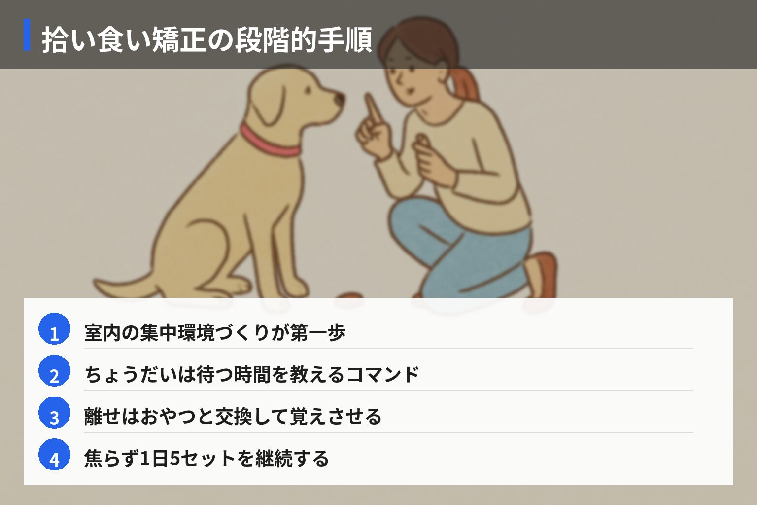 拾い食い癖を直す段階的トレーニング手順の図解・説明イラスト