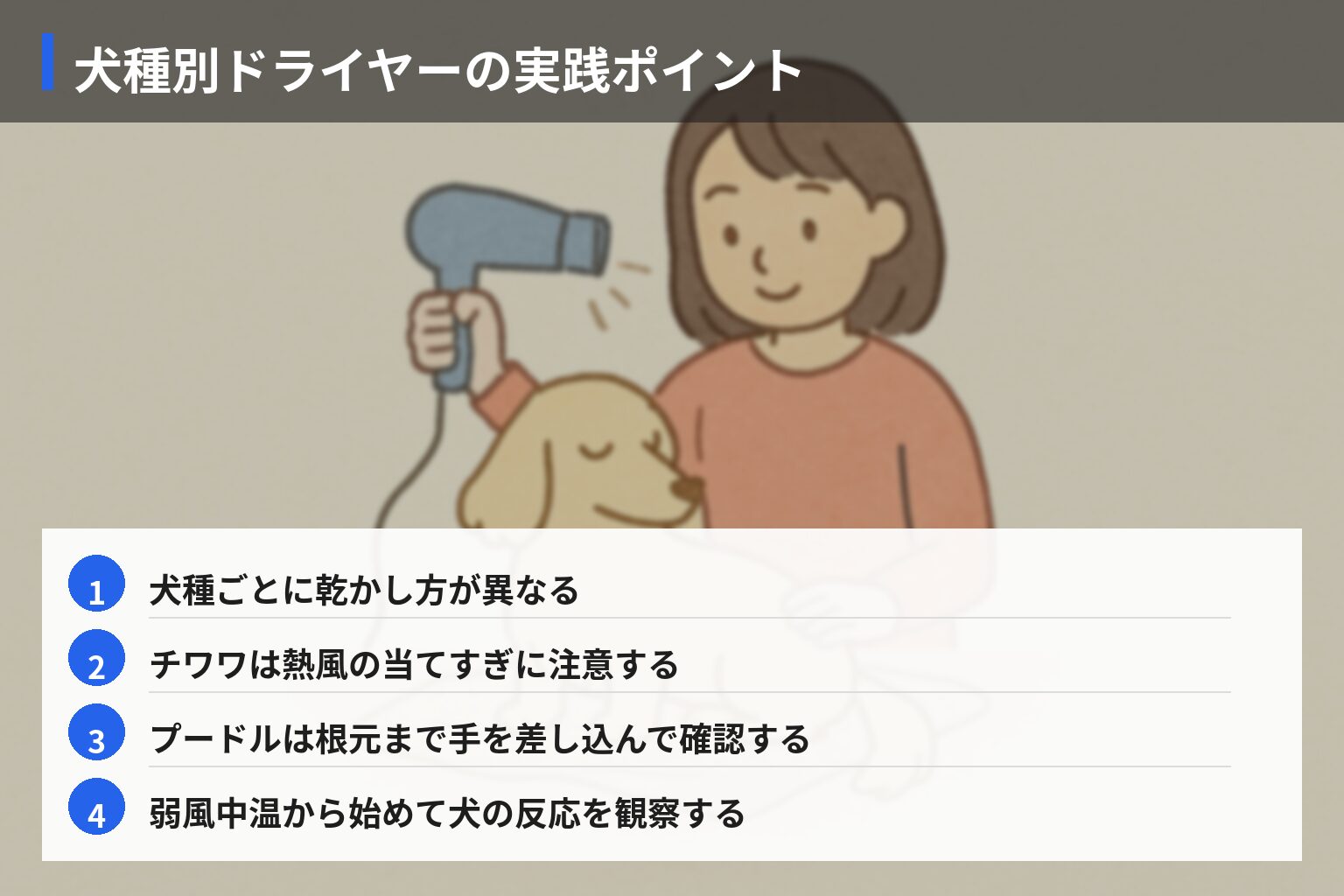 家庭でできる犬種別ドライヤー実践ガイド・チェックリストの図解・説明イラスト
