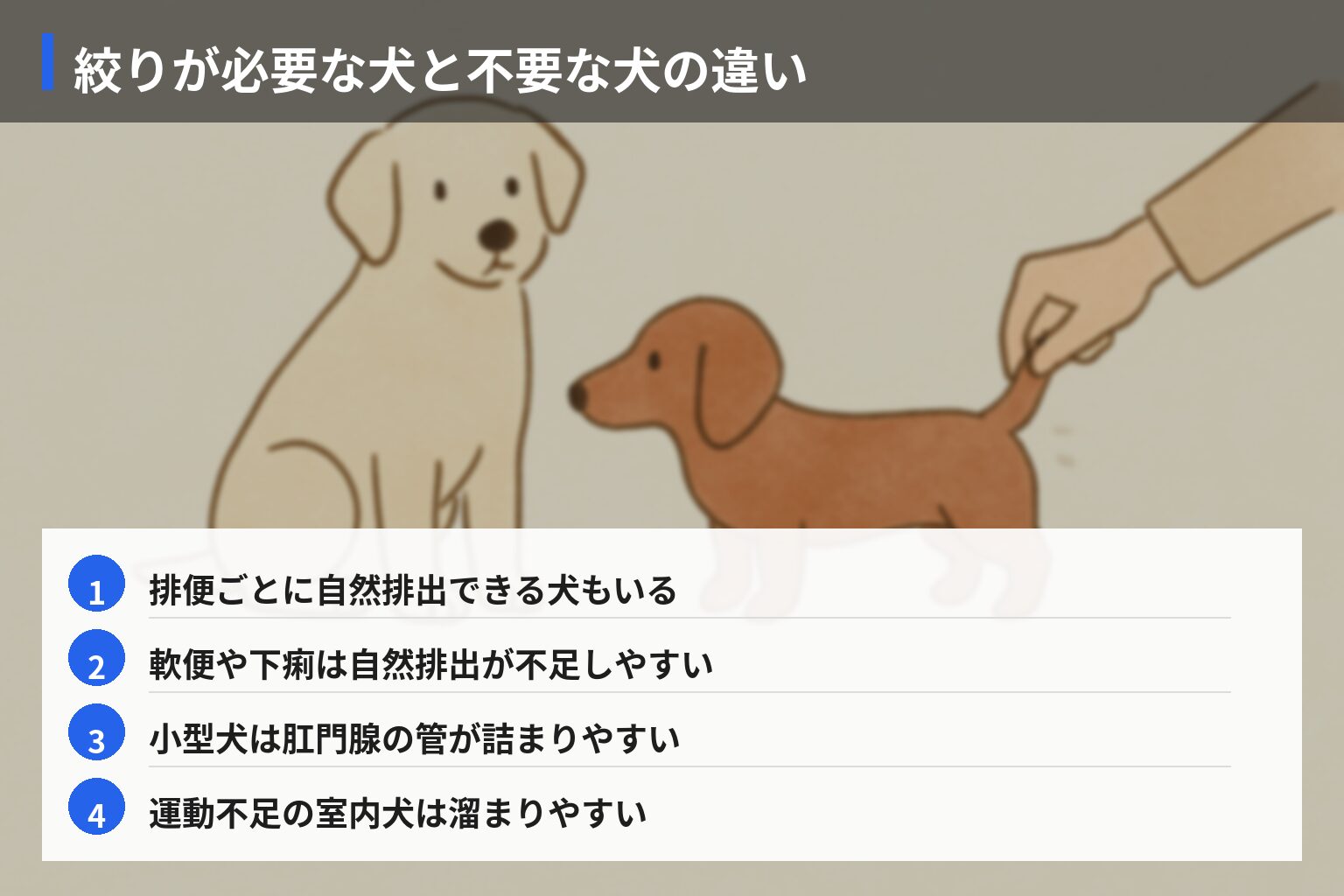肛門腺絞りが必要な犬・不要な犬の違いの図解・説明イラスト