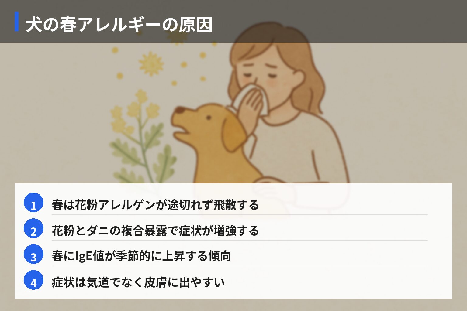 原因・メカニズム分析: 犬の春アレルギーはなぜ起きるのかの図解・説明イラスト