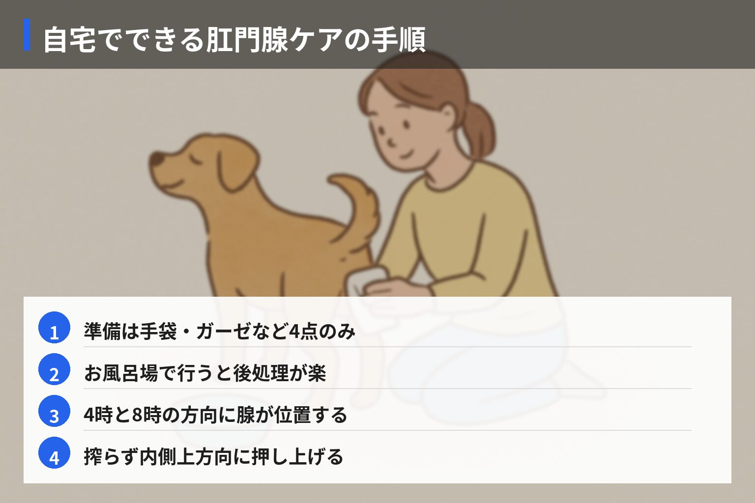 自宅でできる肛門腺ケアの方法とコツの図解・説明イラスト