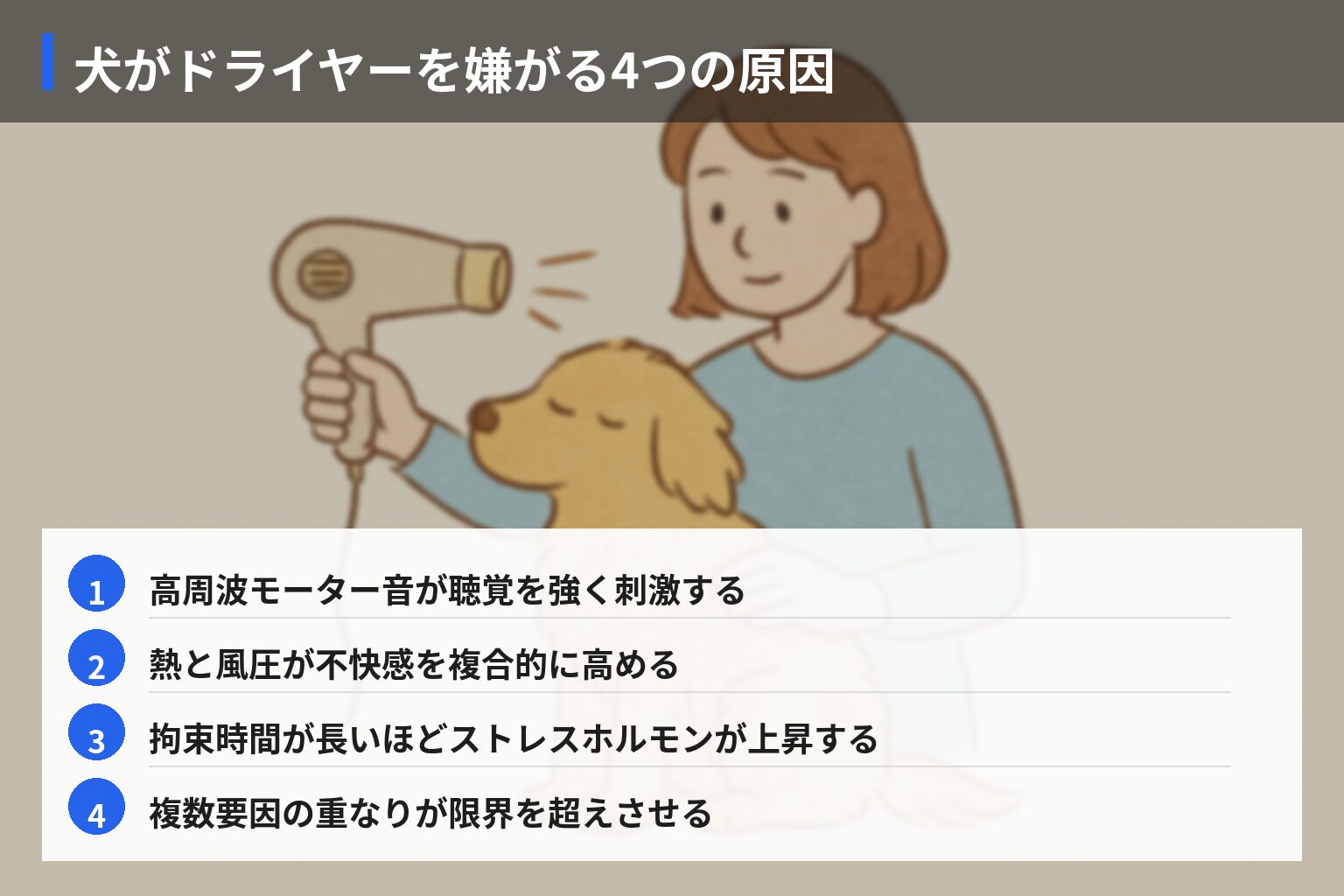 犬の乾かしストレスとドライヤー選びの科学の図解・説明イラスト