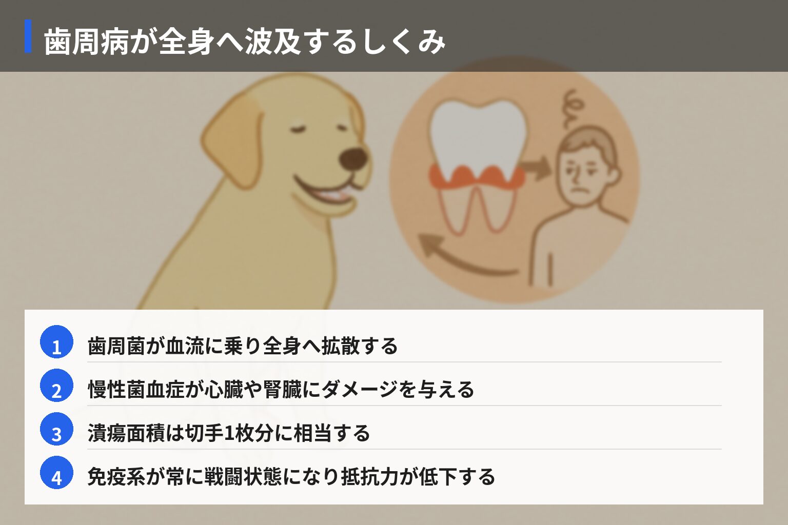 歯周病が全身に及ぼすメカニズムの図解・説明イラスト
