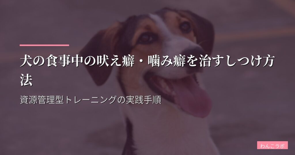 犬の食事中の吠え癖・噛み癖を治すしつけ方法｜資源管理型トレーニングの実践手順