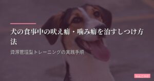 犬の食事中の吠え癖・噛み癖を治すしつけ方法｜資源管理型トレーニングの実践手順