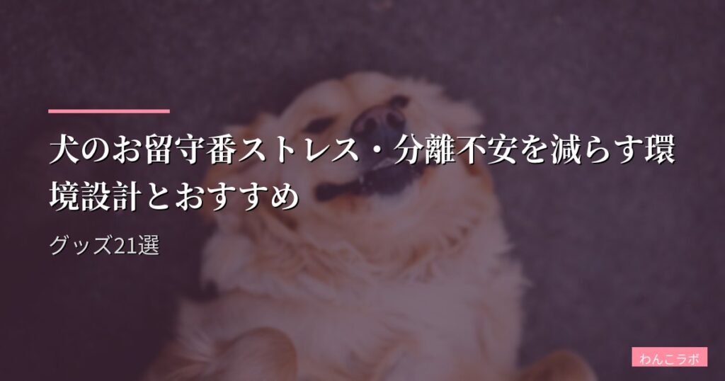 犬のお留守番ストレス・分離不安を減らす環境設計とおすすめグッズ21選