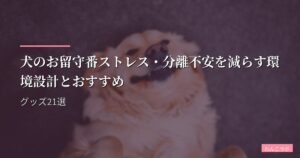 犬のお留守番ストレス・分離不安を減らす環境設計とおすすめグッズ21選