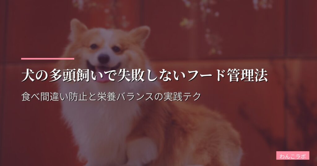 犬の多頭飼いで失敗しないフード管理法｜食べ間違い防止と栄養バランスの実践テク