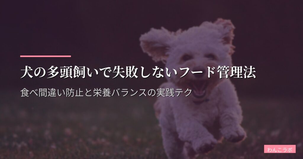 犬の多頭飼いで失敗しないフード管理法｜食べ間違い防止と栄養バランスの実践テク