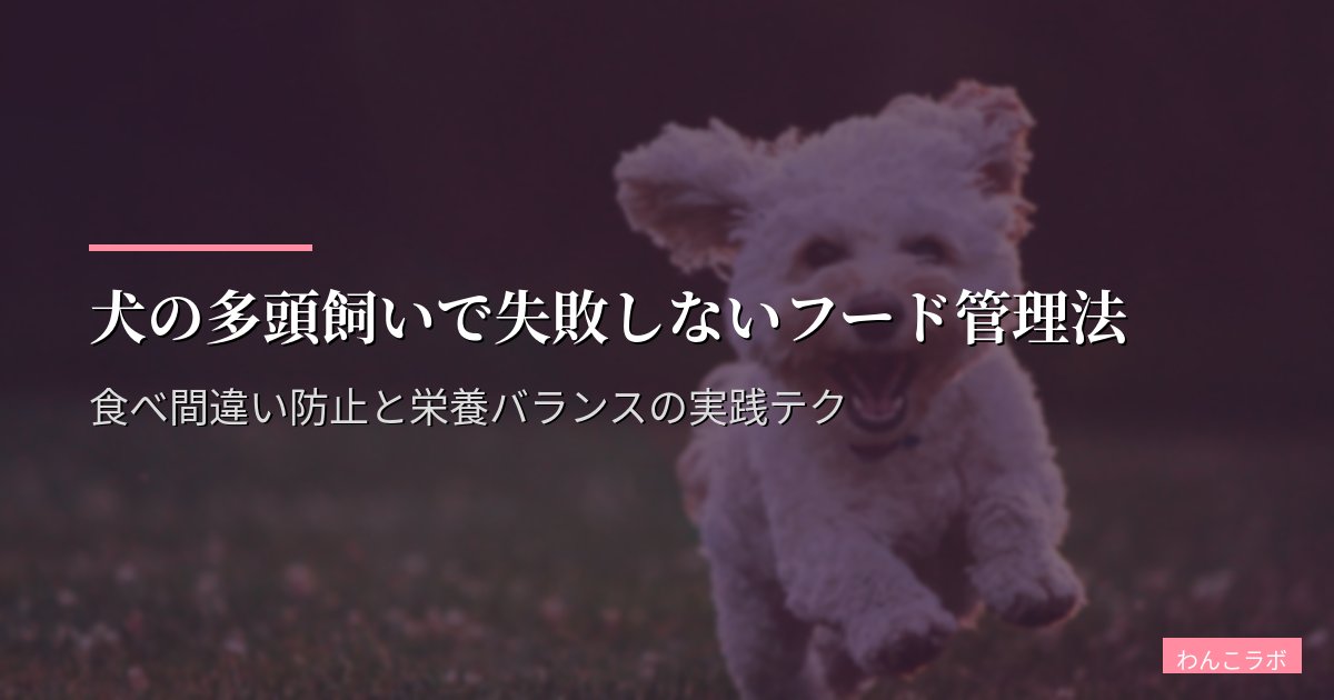 犬の多頭飼いで失敗しないフード管理法|食べ間違い防止と栄養バランスの実践テク