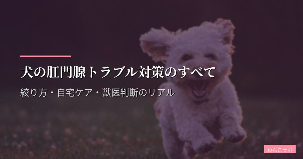 犬の肛門腺トラブル対策のすべて｜絞り方・自宅ケア・獣医判断のリアル