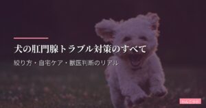 犬の肛門腺トラブル対策のすべて｜絞り方・自宅ケア・獣医判断のリアル