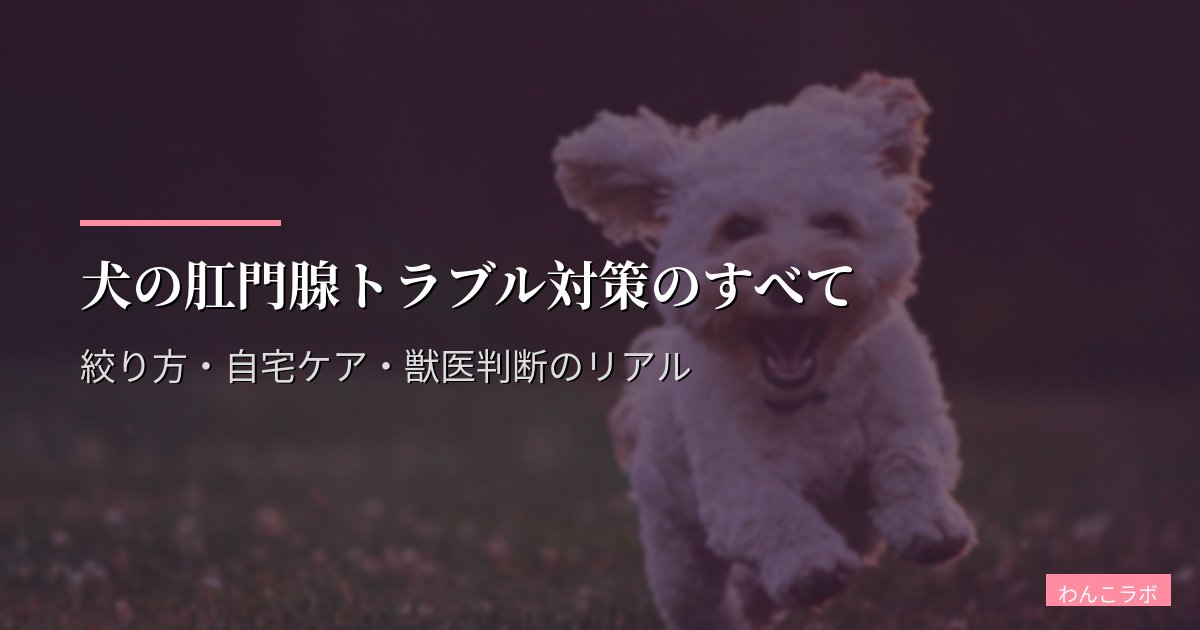 犬の肛門腺トラブル対策のすべて|絞り方・自宅ケア・獣医判断のリアル