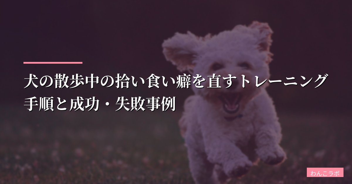 犬の散歩中の拾い食い癖を直すトレーニング手順と成功・失敗事例