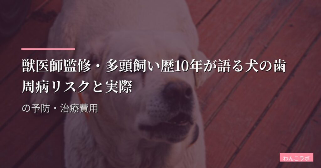 獣医師監修・多頭飼い歴10年が語る犬の歯周病リスクと実際の予防・治療費用