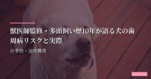 獣医師監修・多頭飼い歴10年が語る犬の歯周病リスクと実際の予防・治療費用