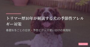 トリマー歴10年が解説する犬の季節性アレルギー対策｜春夏秋冬ごとの症状・予防とグッズ使い分けの実践知