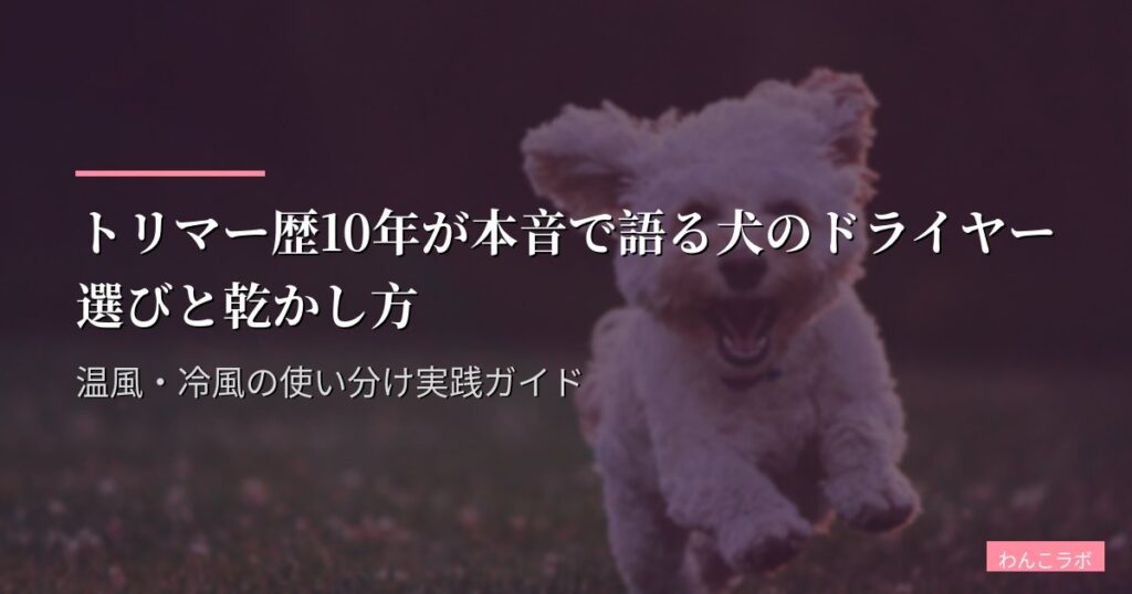 トリマー歴10年が本音で語る犬のドライヤー選びと乾かし方｜温風・冷風の使い分け実践ガイド