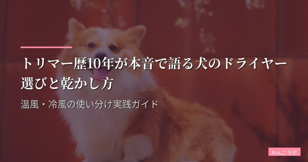 トリマー歴10年が本音で語る犬のドライヤー選びと乾かし方｜温風・冷風の使い分け実践ガイド