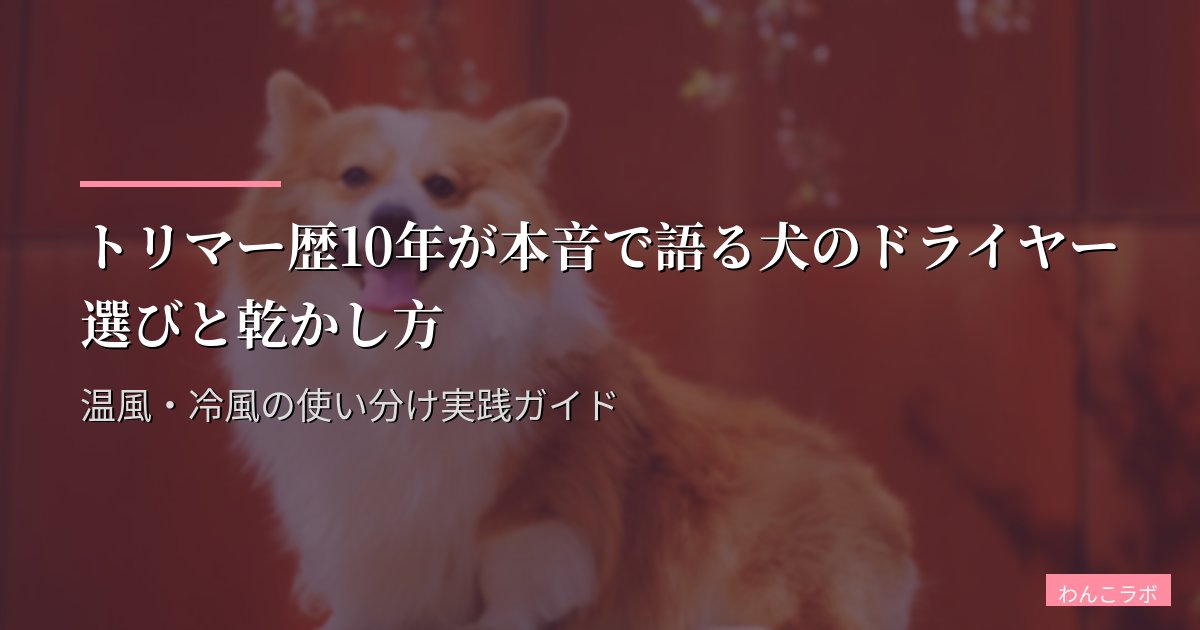 トリマー歴10年が本音で語る犬のドライヤー選びと乾かし方|温風・冷風の使い分け実践ガイド