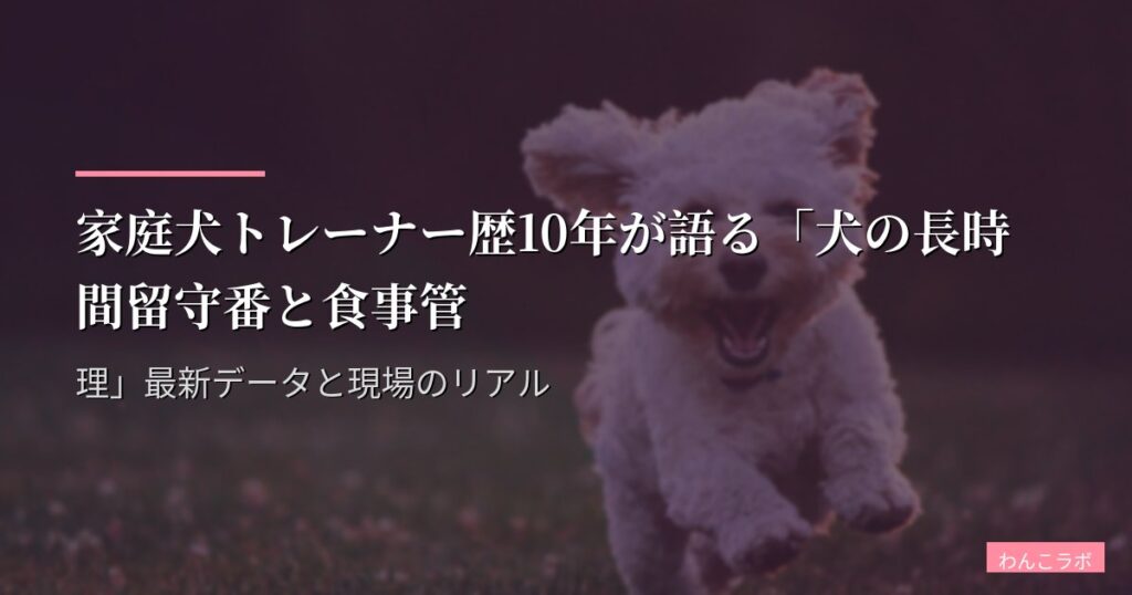家庭犬トレーナー歴10年が語る「犬の長時間留守番と食事管理」最新データと現場のリアル