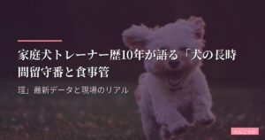 家庭犬トレーナー歴10年が語る「犬の長時間留守番と食事管理」最新データと現場のリアル