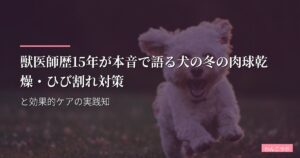 獣医師歴15年が本音で語る犬の冬の肉球乾燥・ひび割れ対策と効果的ケアの実践知