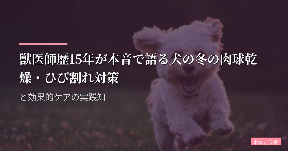 獣医師歴15年が本音で語る犬の冬の肉球乾燥・ひび割れ対策と効果的ケアの実践知