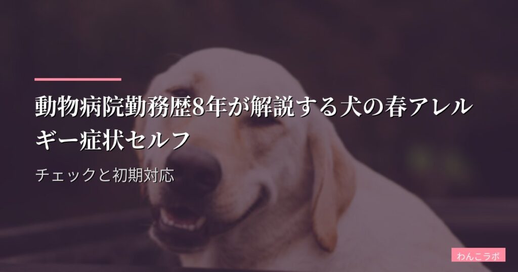 動物病院勤務歴8年が解説する犬の春アレルギー症状セルフチェックと初期対応