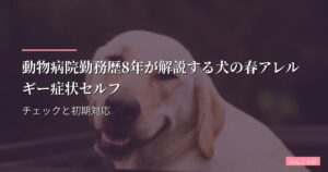 動物病院勤務歴8年が解説する犬の春アレルギー症状セルフチェックと初期対応