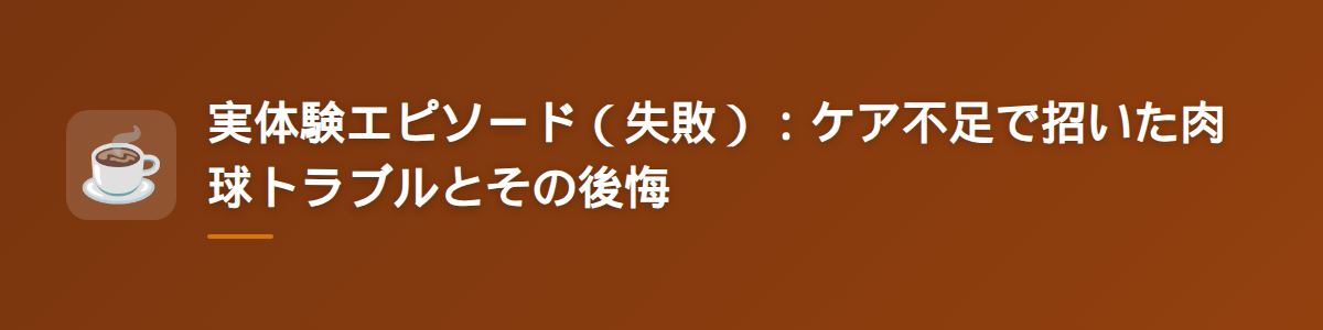 実体験エピソード(失敗):ケア不足で招いた肉球トラブルとその後悔