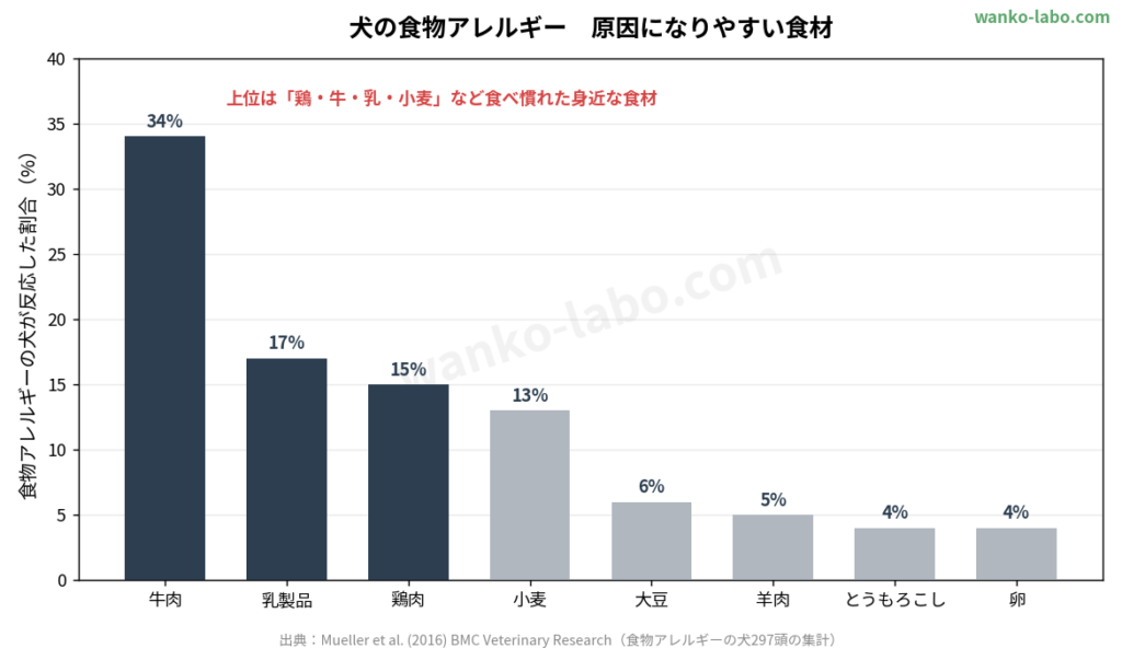 チキンも牛も合わない愛犬へ｜鹿肉ドッグフードという選択肢【2026年版】