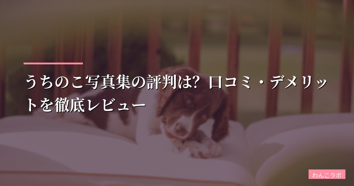 ペット写真集を作るならここ|愛犬・愛猫の思い出をプロに任せられる令和出版「うちのこ写真集」評判と料金【2026年】