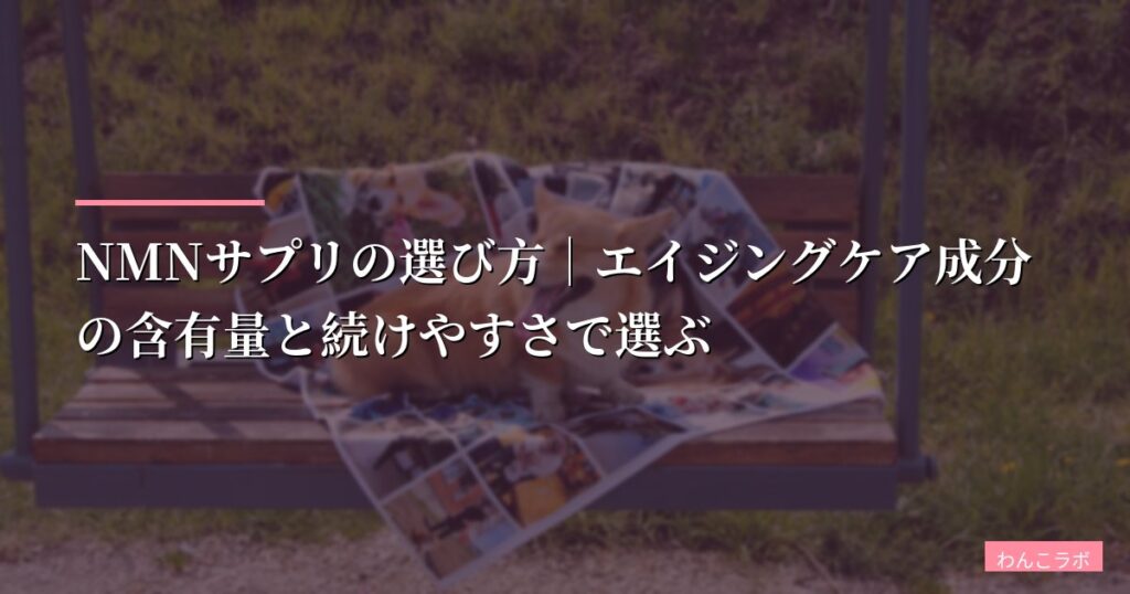 NMNサプリの選び方｜エイジングケア成分の含有量と続けやすさで選ぶ【2026年版】