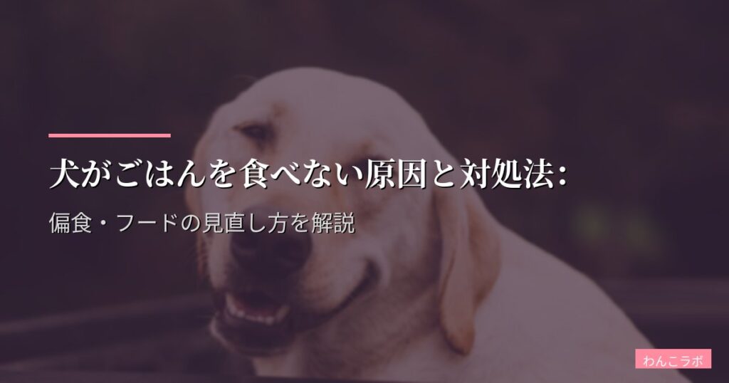 犬がごはんを食べない原因と対処法：偏食・フードの見直し方を解説