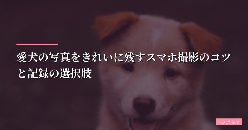 愛犬の写真をきれいに残すスマホ撮影のコツと記録の選択肢